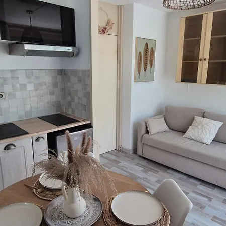 아파트 4p, Cozy, 100m , Piscine, Au Pied Des Commerces